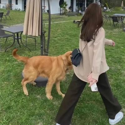 孩奴